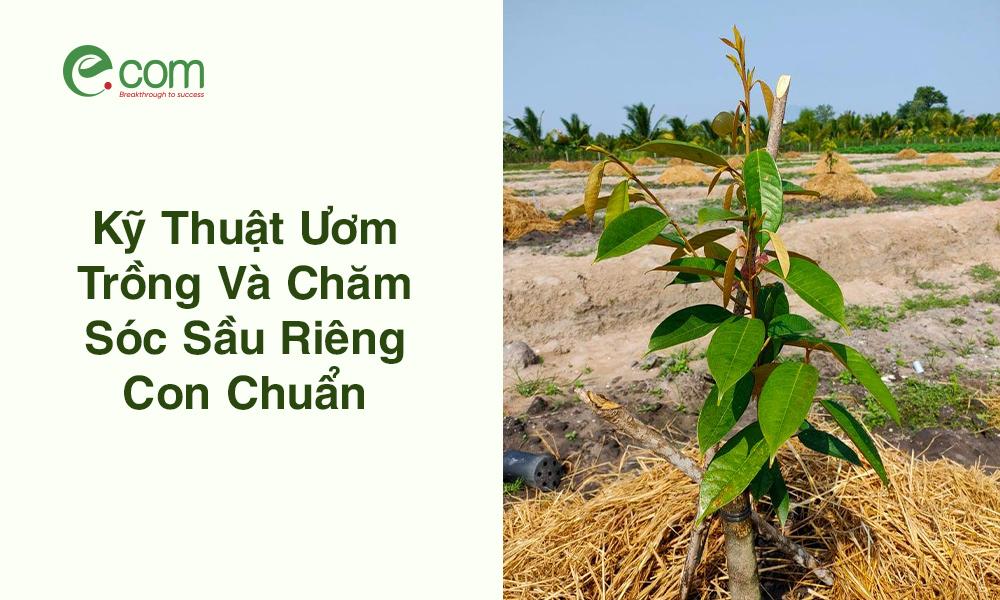 Bí quyết cải tạo đất nghèo dinh dưỡng, nâng cao năng suất và chất lượng đất trồng, giải pháp địa kỹ thuật công trình hiệu quả cho nền móng vững chắc